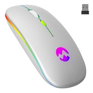 Everest SMW-710 Usb 2.4Ghz Gümüş Ledli 800/1200/1600dpi Şarjlı Kablosuz Mouse