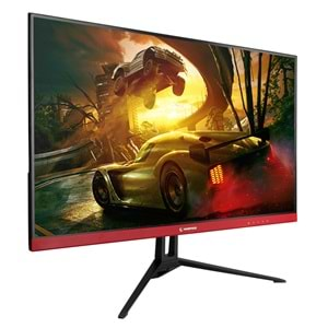 Rampage RM-421S FLOWER 24 165Hz 1ms BOE IPS FHD Freesync Flat PC Oyuncu Monitörü